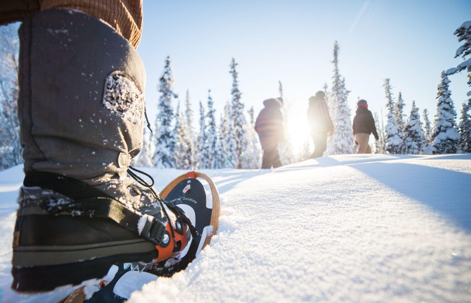 A person's feet in the snow Description automatically generated with low confidence