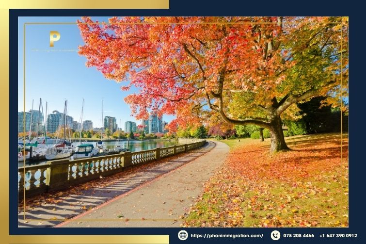 Mùa thu ở Canada là mùa lá cây chuyển màu rực rỡ