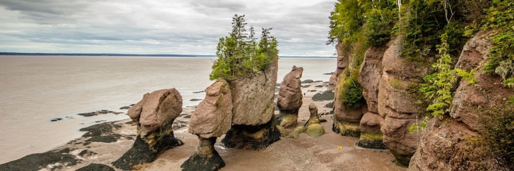 Địa điểm du lịch Canada - Đá Lọ Hoa - Hopewell Rocks