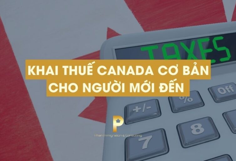 Khai thuế Canada cơ bản cho người mới đến 