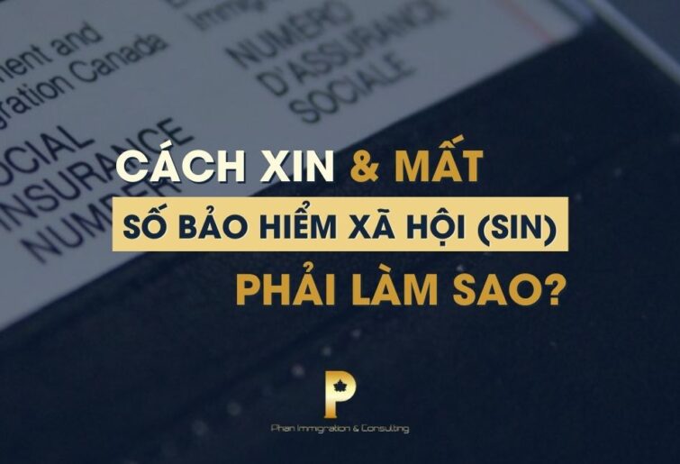 Cách xin Số bảo hiểm xã hội (số SIN) tại Canada 