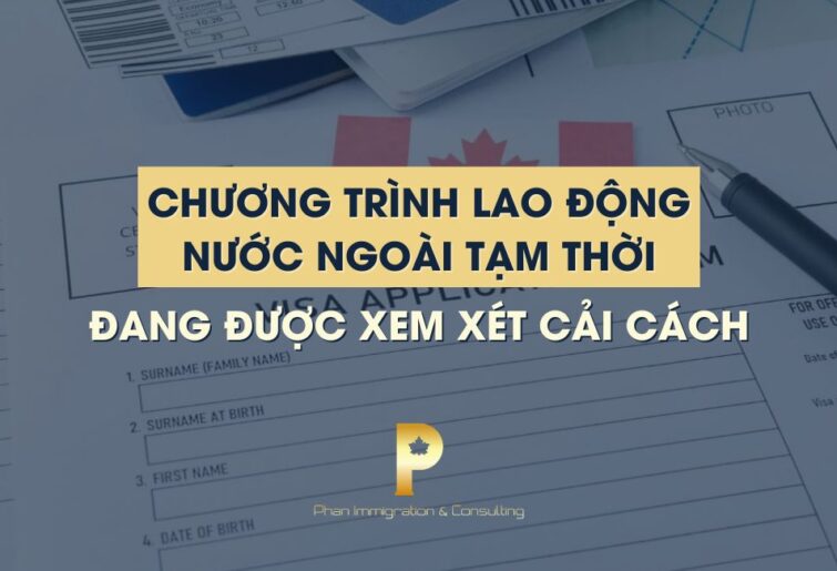 Chương trình lao động nước ngoài tạm thời đang được xem xét cải cách