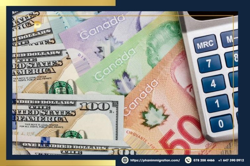 Đương đơn cần chứng minh đủ tài chính khi tham gia AFIP
