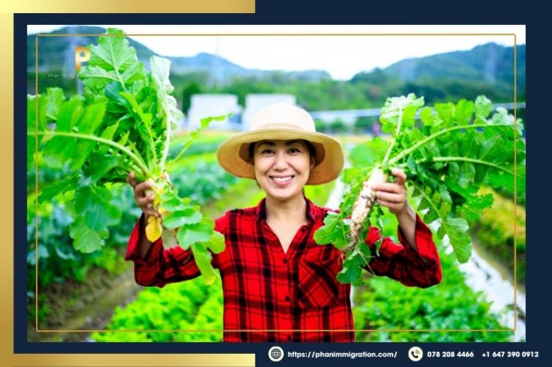 AFIP tạo điều kiện cho các lao động trong ngành nông nghiệp & thực phẩm