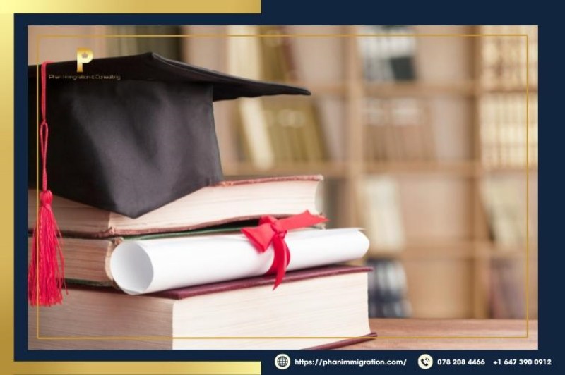 Đương đơn cần đảm bảo yêu cầu học vấn khi tham gia AFIP
