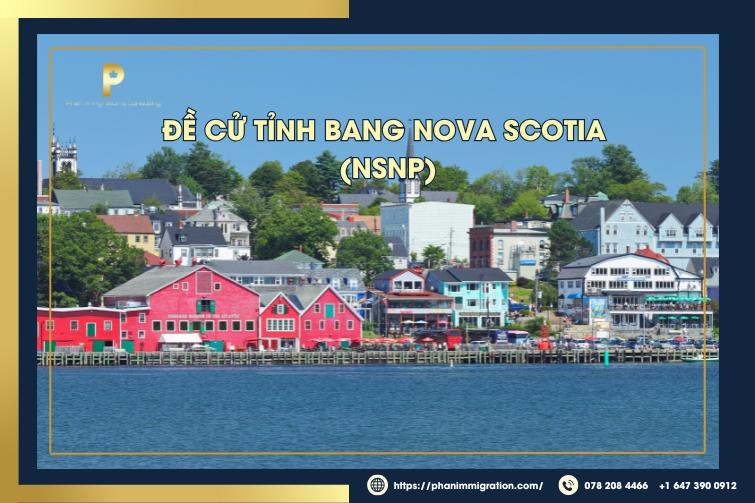 Chương trình NSNP thu hút nhiều ứng viên chất lượng