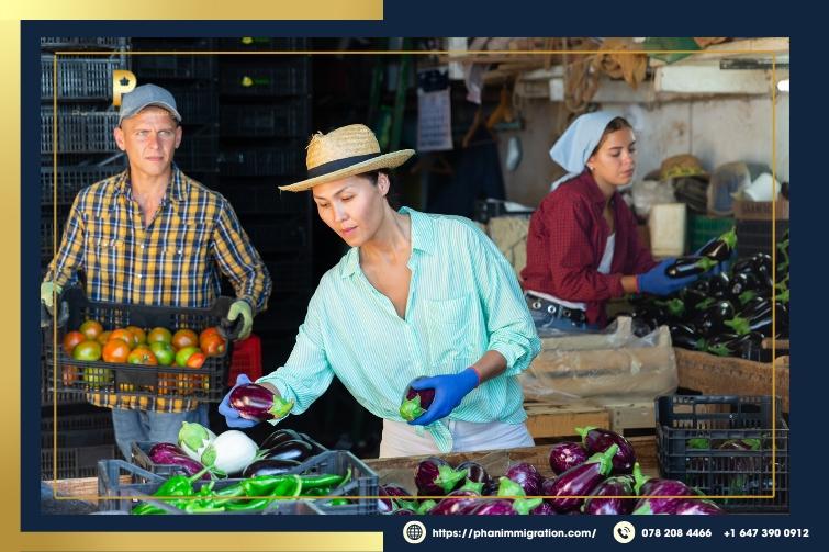 AFIP supports foreign workers in the agriculture & food sectors