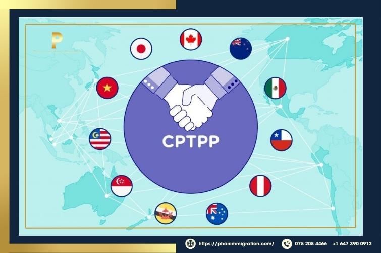 Hiệp định CPTPP giúp mở rộng quan hệ kinh tế giữa các thành viên