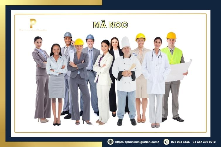Applicants must accurately identify the NOC code that matches their occupation