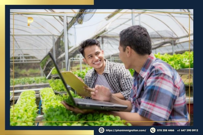 Alberta Farm Stream Immigration Program