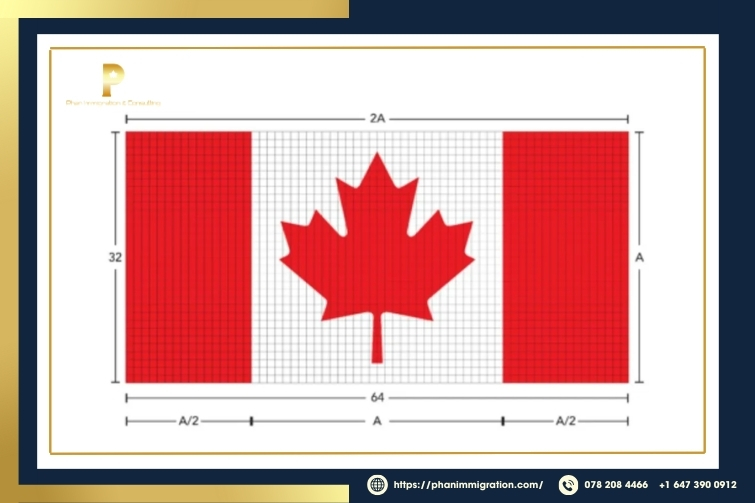 Quốc kỳ Canada có tỷ lệ chiều cao và chiều rộng là 1:2