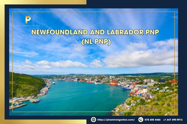 The NL PNP immigration program offers numerous opportunities for candidates