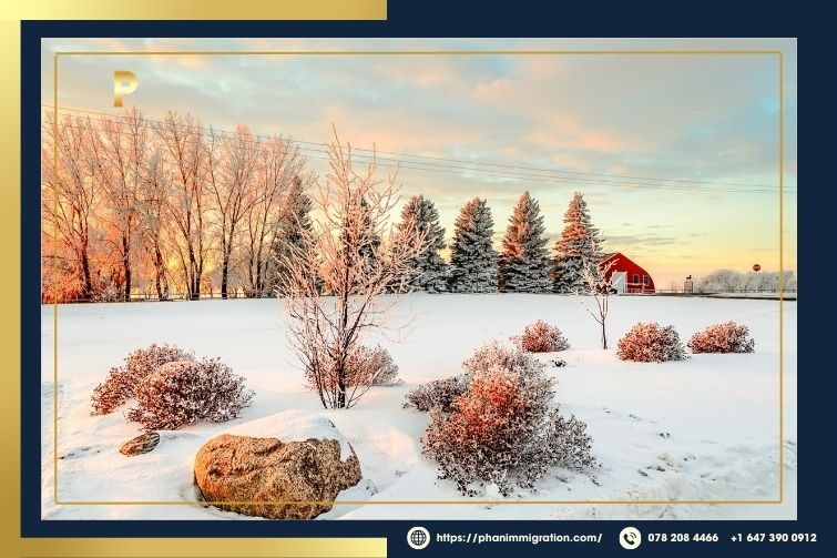 Khí hậu Saskatchewan có mùa đông dài và giá lạnh, mùa hè ấm áp, lượng mưa thấp