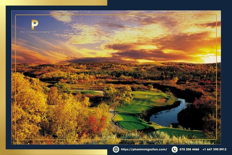 Saskatchewan Canada sở hữu cảnh quan thiên nhiên thơ mộng với rừng cây bạt ngàn