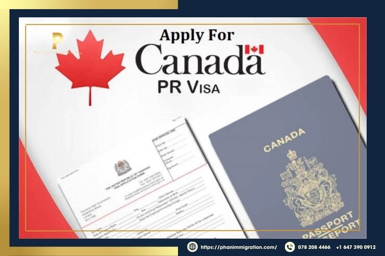 Entrepreneurs can apply for permanent residency through the Canadian Experience Class (CEC) or the Provincial Nominee Program (PNP)