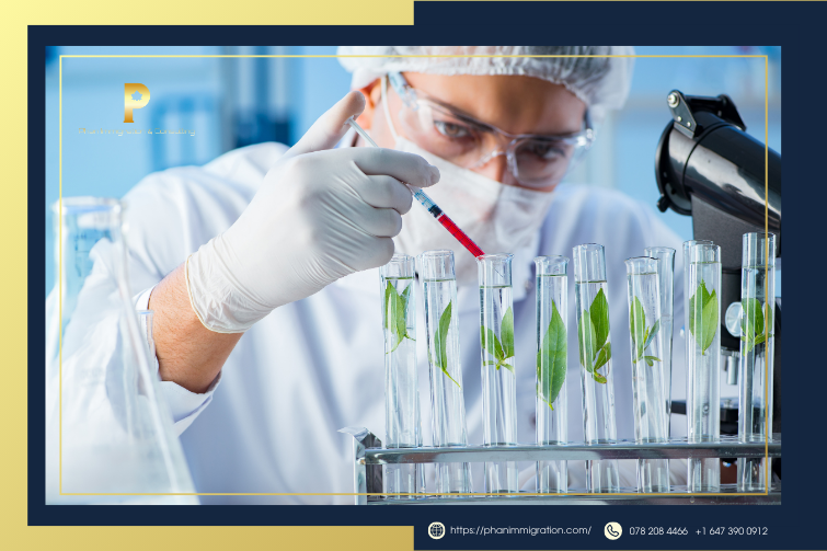 Exceptional Talent Stream